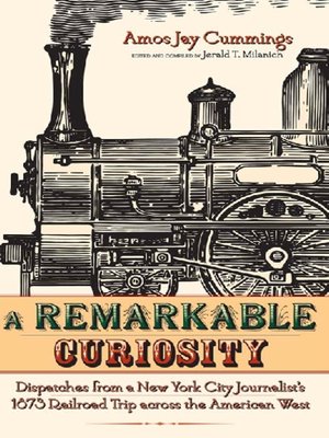 cover image of A Remarkable Curiosity